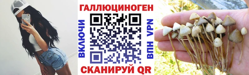 нарко площадка формула  Краснообск  Галлюциногенные грибы GOLDEN TEACHER 